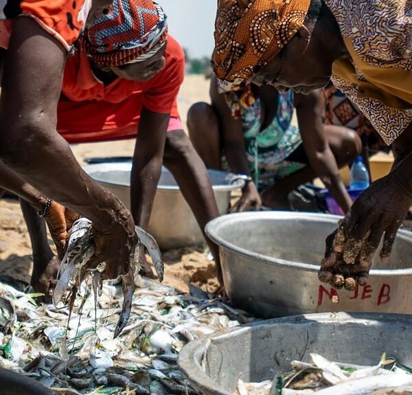 enterprise market activity overview