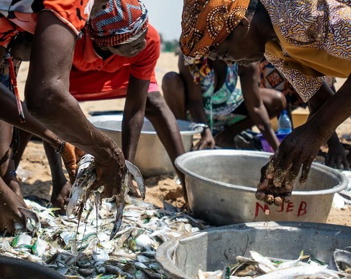 Enterprise Market Activity Snapshot for 6787132637, 570044253, 974457840, 651068565, 12017001, 120879459