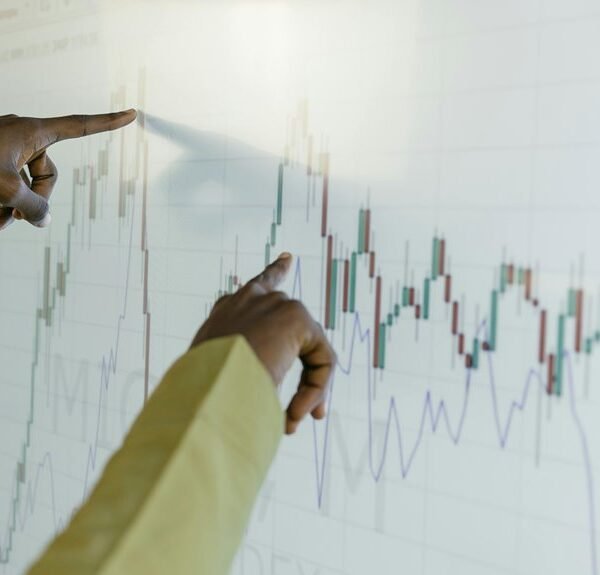 Industry-Level Data Interpretation Brief on 5033059044, 8053183467, 213587700, 667025240, 970288266, 643862358