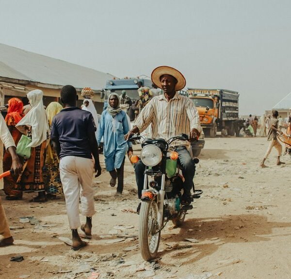 Sector Market Activity Review Featuring 934925120, 8666132085, 645058896, 18662044302, 359233111, 210105405