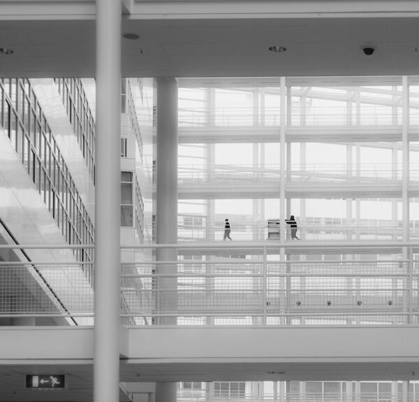 Professional Online Framework 951122595 for Businesses