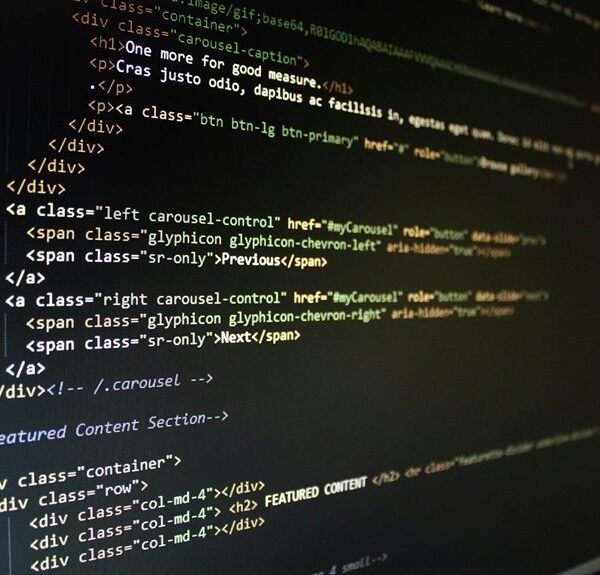 online professional web system