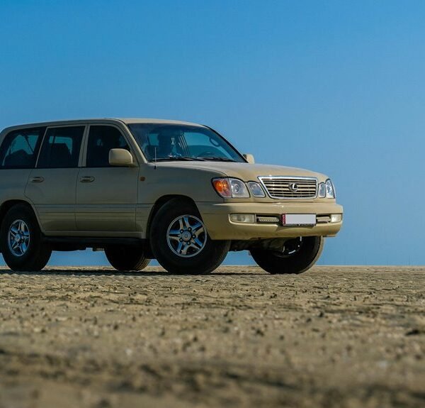 Reliable Digital System 981984551 for Stability