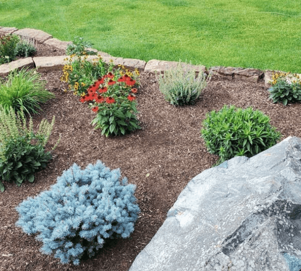 How to Maintain a Beautiful Outdoor Landscape