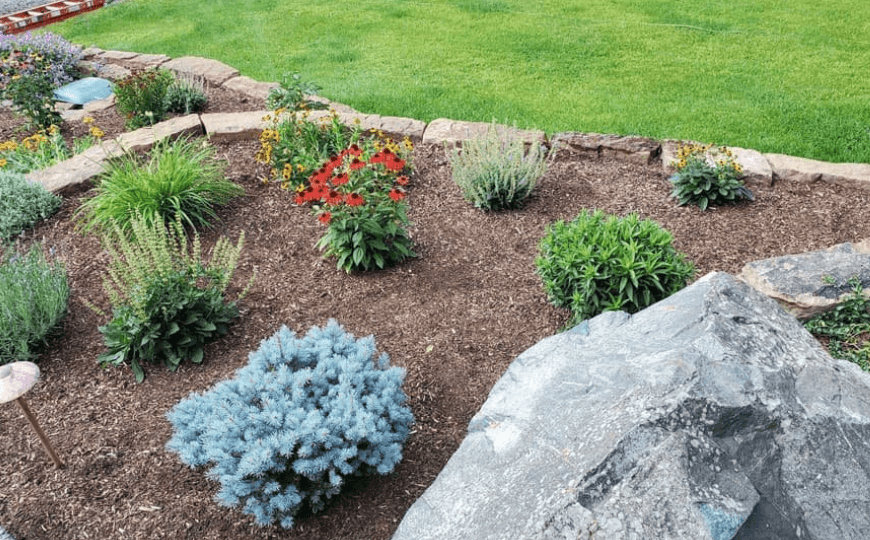 How to Maintain a Beautiful Outdoor Landscape