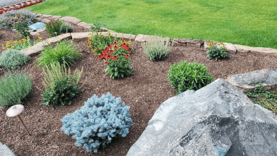 How to Maintain a Beautiful Outdoor Landscape